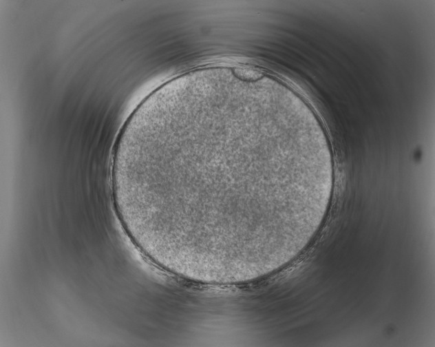 X0000114661050200912011130