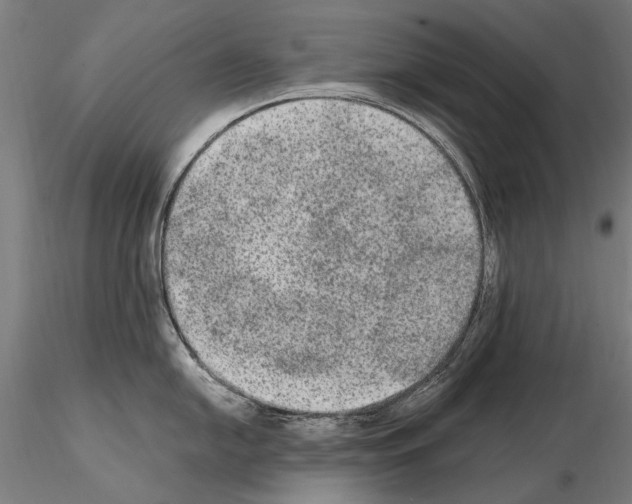 X0000114661054200912011130