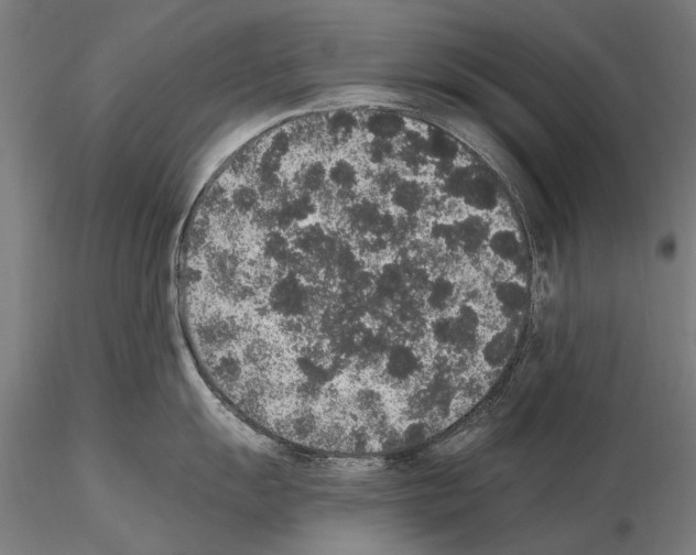 X0000114661055200912011130