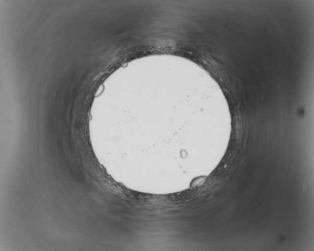 X0000114661057200912011130