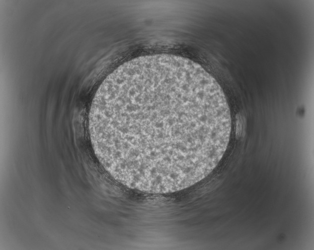 X0000114661059200912011130