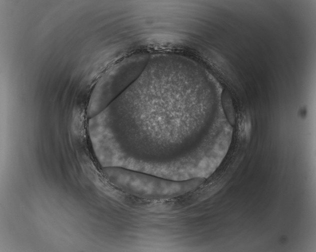 X0000114661060200912011130