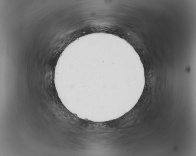 X0000114661061200912011130