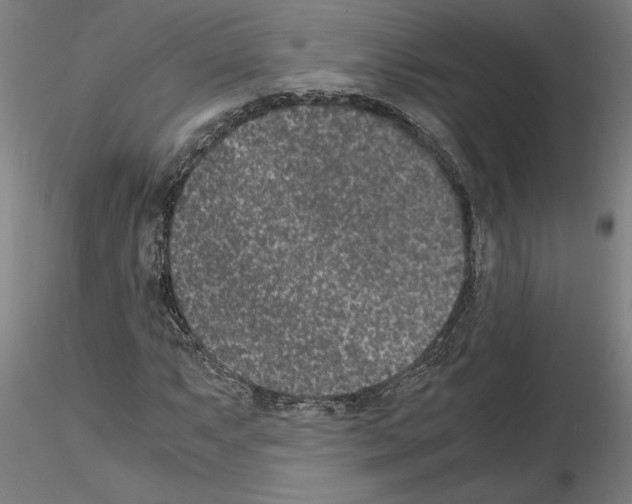 X0000114661063200912011129