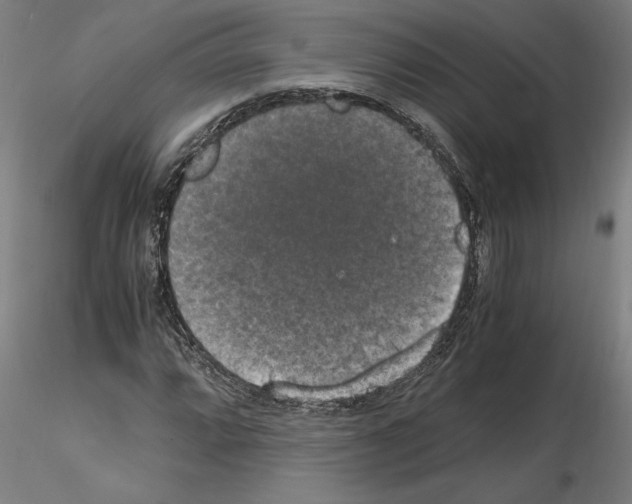 X0000114661064200912011129