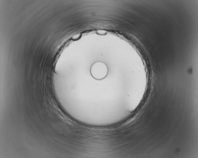 X0000114661065200912011129