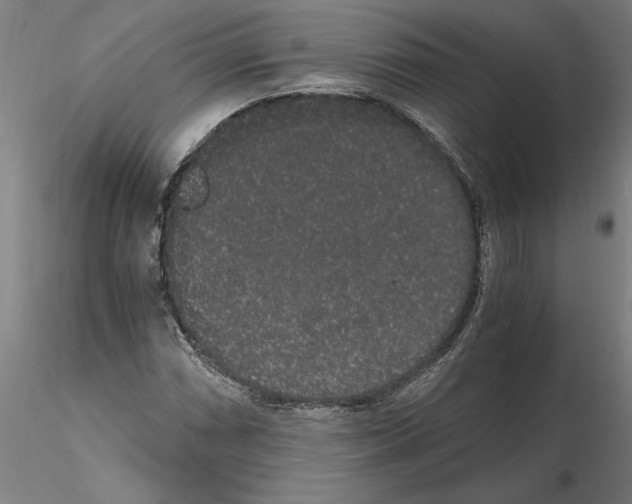 X0000114661066200912011129