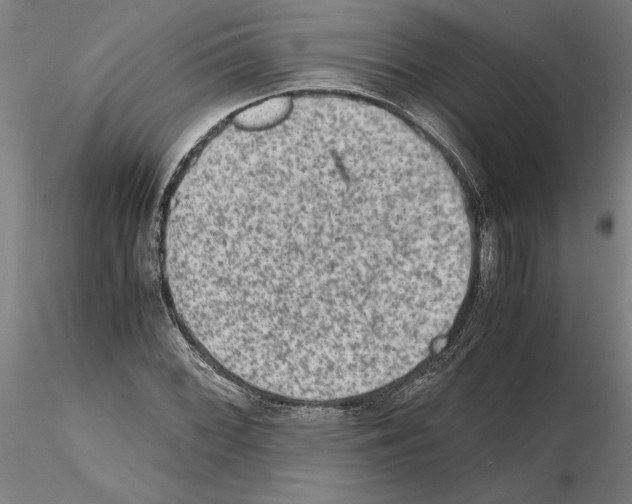 X0000114661068200912011129