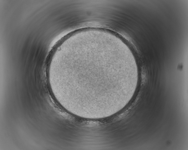 X0000114661070200912011129