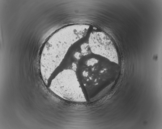 X0000114661071200912011129