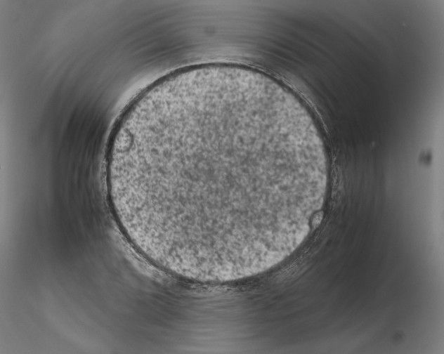 X0000114661072200912011129