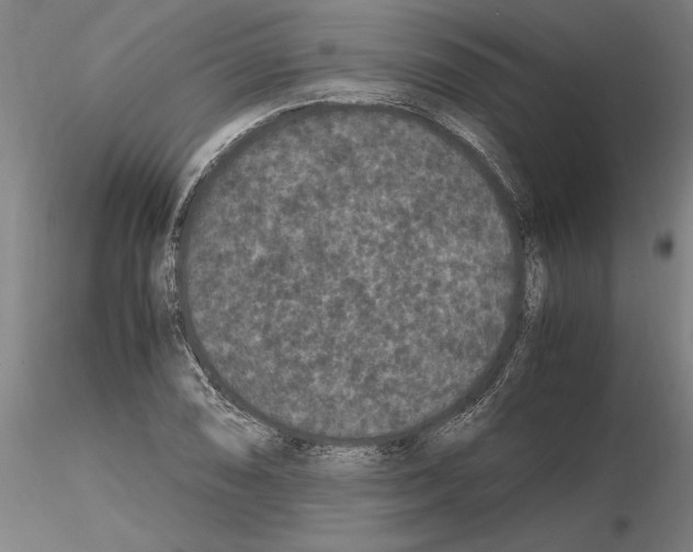 X0000114661074200912011129