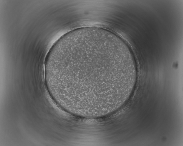 X0000114661079200912011129