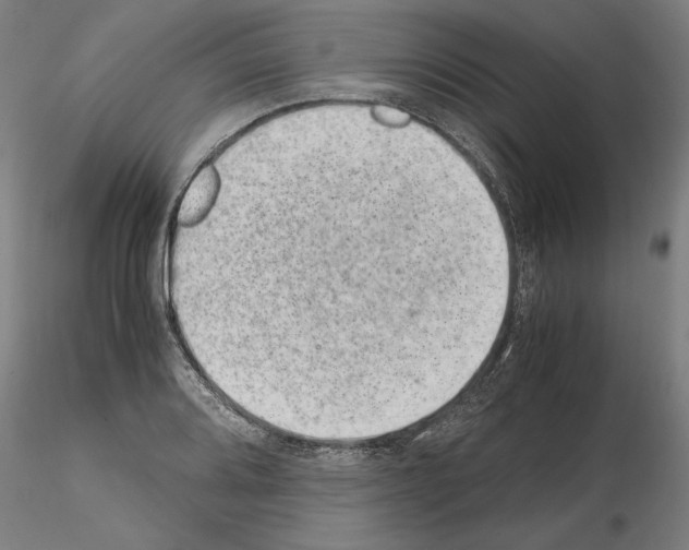 X0000114661080200912011129