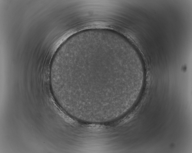 X0000114661081200912011129