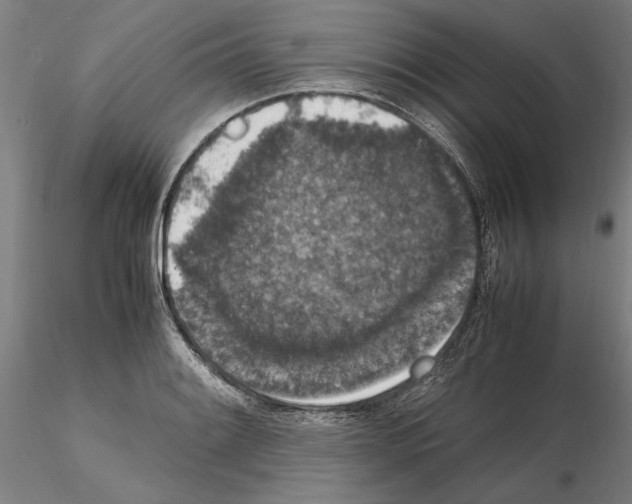 X0000114661084200912011129