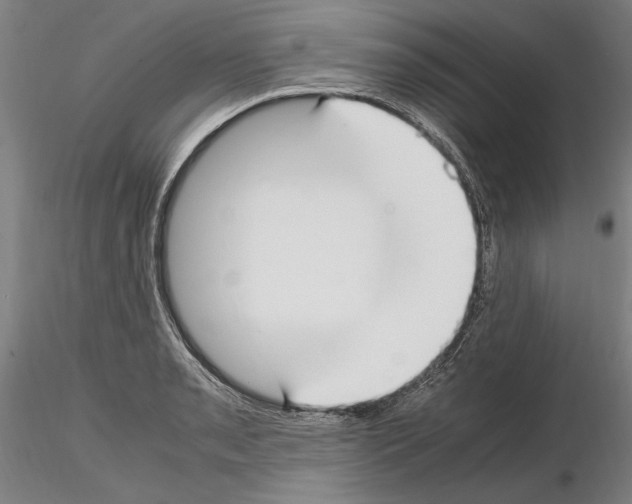 X0000114661085200912011129