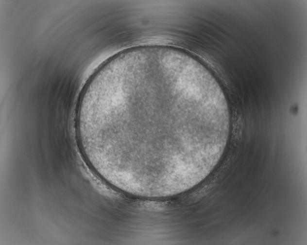 X0000114661086200912011129