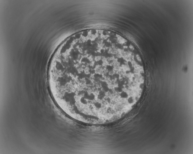 X0000114661087200912011129