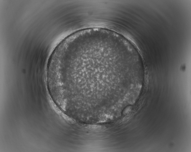 X0000114661088200912011129