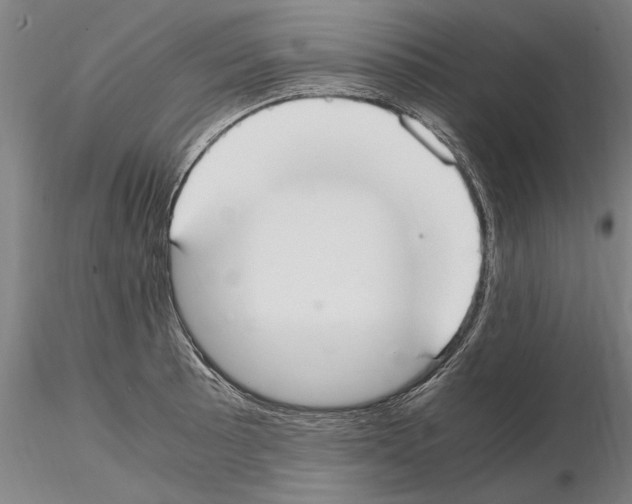 X0000114661089200912011129