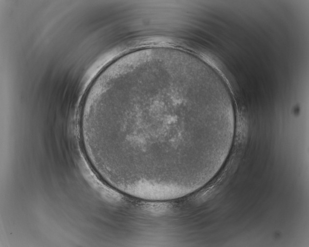 X0000114661090200912011129