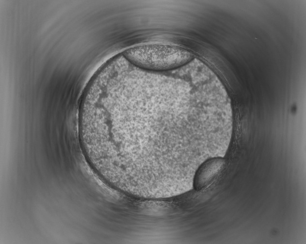 X0000114661092200912011129