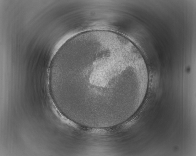 X0000114661094200912011129