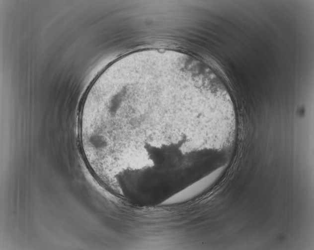 X0000114661095200912011129