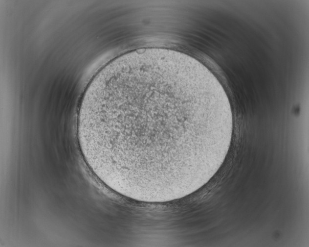 X0000114661096200912011129