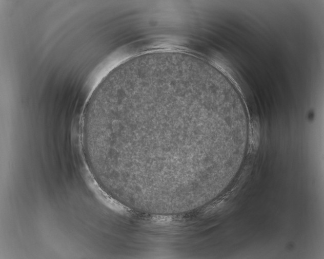 X0000114661098200912011129