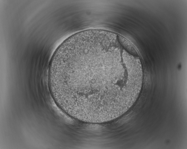 X0000114661100200912011129