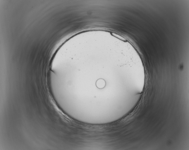 X0000114661101200912011129