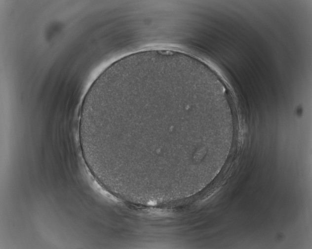 X0000114661102200912011129