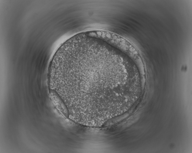 X0000114661104200912011129