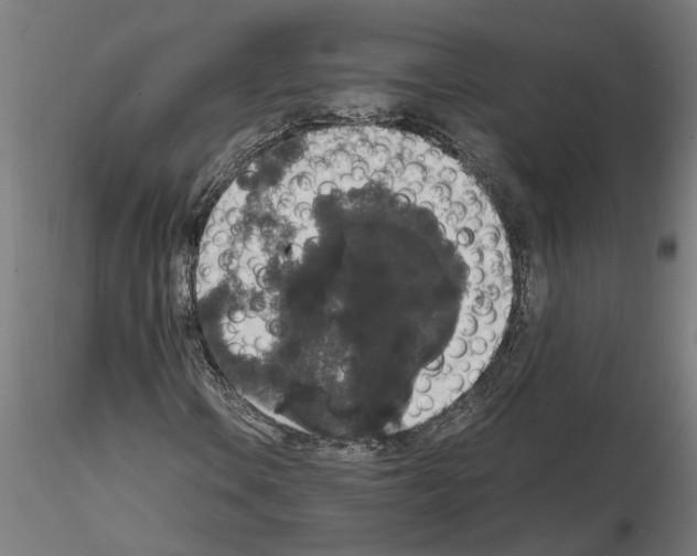 X0000114661106200912011128