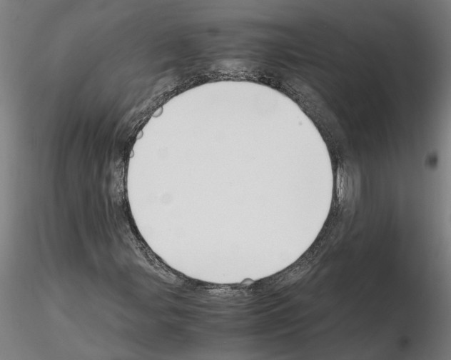 X0000114661107200912011128