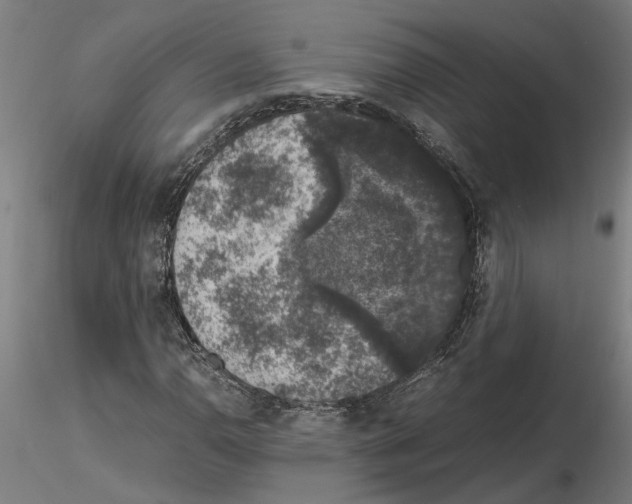 X0000114661110200912011128