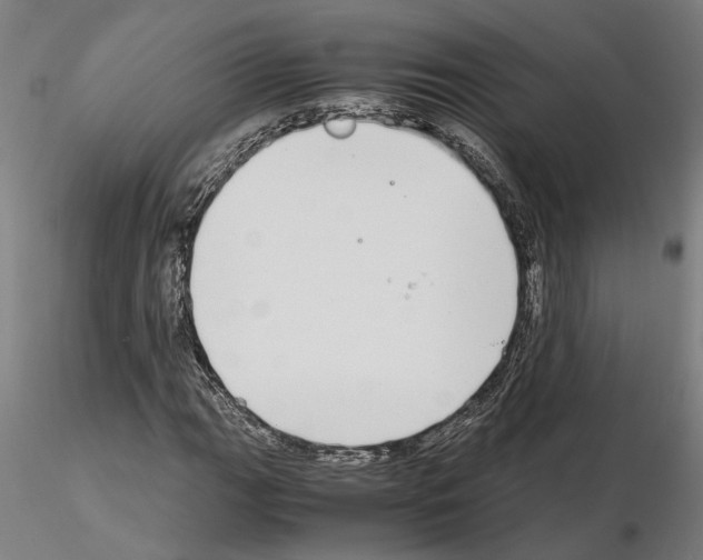 X0000114661111200912011128