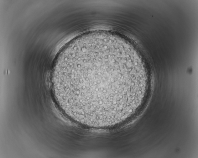 X0000114661113200912011128