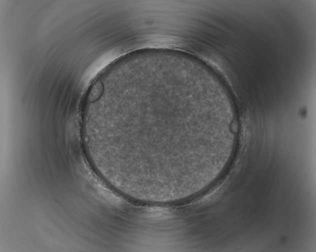 X0000114661114200912011128