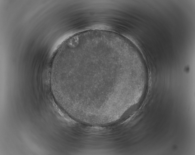 X0000114661115200912011128