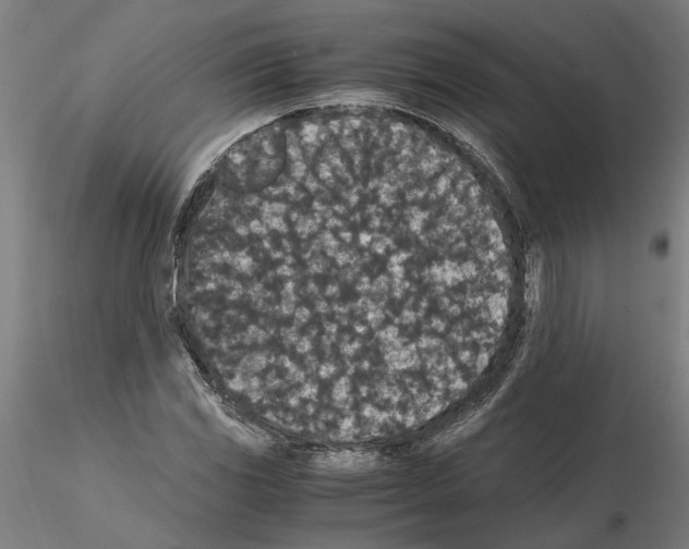 X0000114661117200912011128