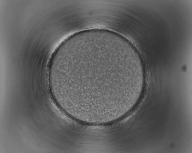 X0000114661118200912011128