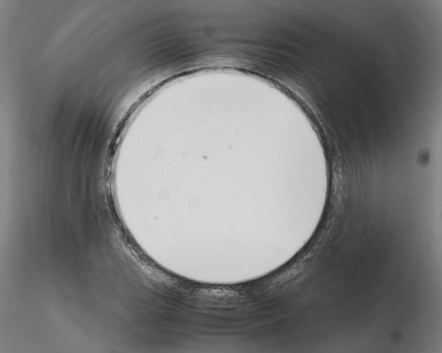 X0000114661119200912011128