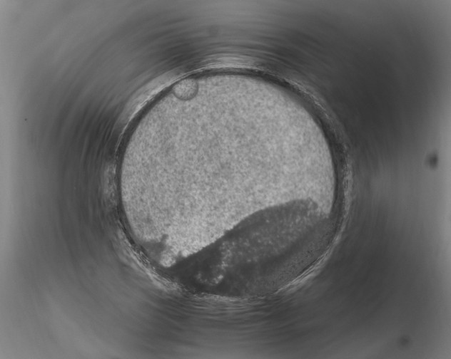 X0000114661121200912011128