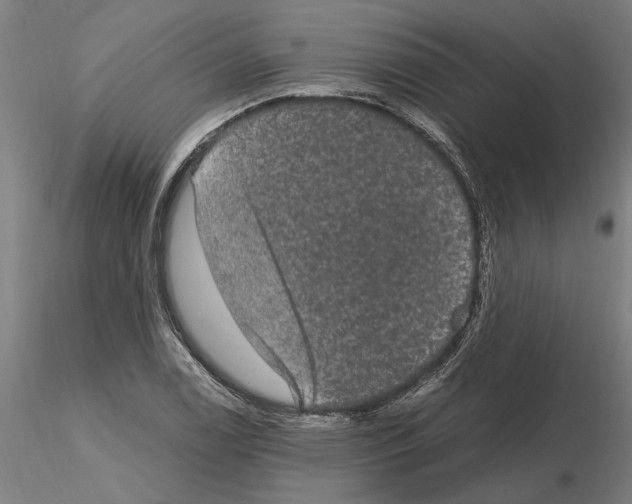 X0000114661122200912011128