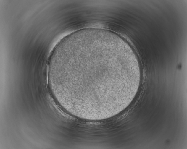 X0000114661123200912011128