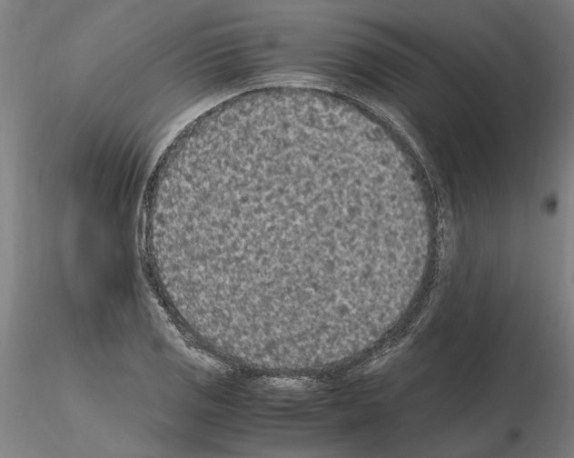 X0000114661125200912011128