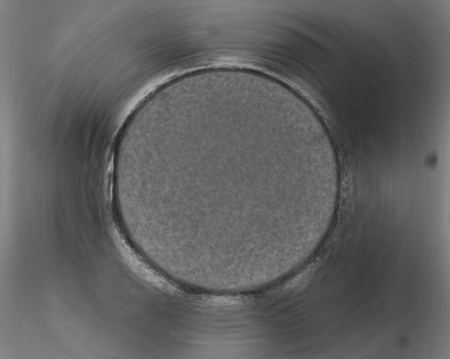 X0000114661126200912011128